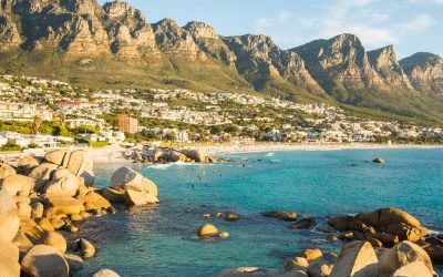 Top things to do in Cape Town