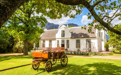 Best Wine Farms in the Winelands
